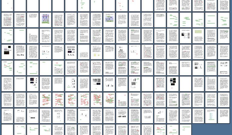 Organiser son calendrier de thèse autour de l'analyse statistique